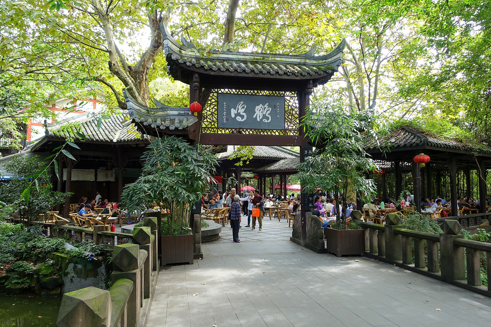 Morning crowds at the open-air Heming teahouse in Chengdu's People's Park, bamboo chairs under the plane trees