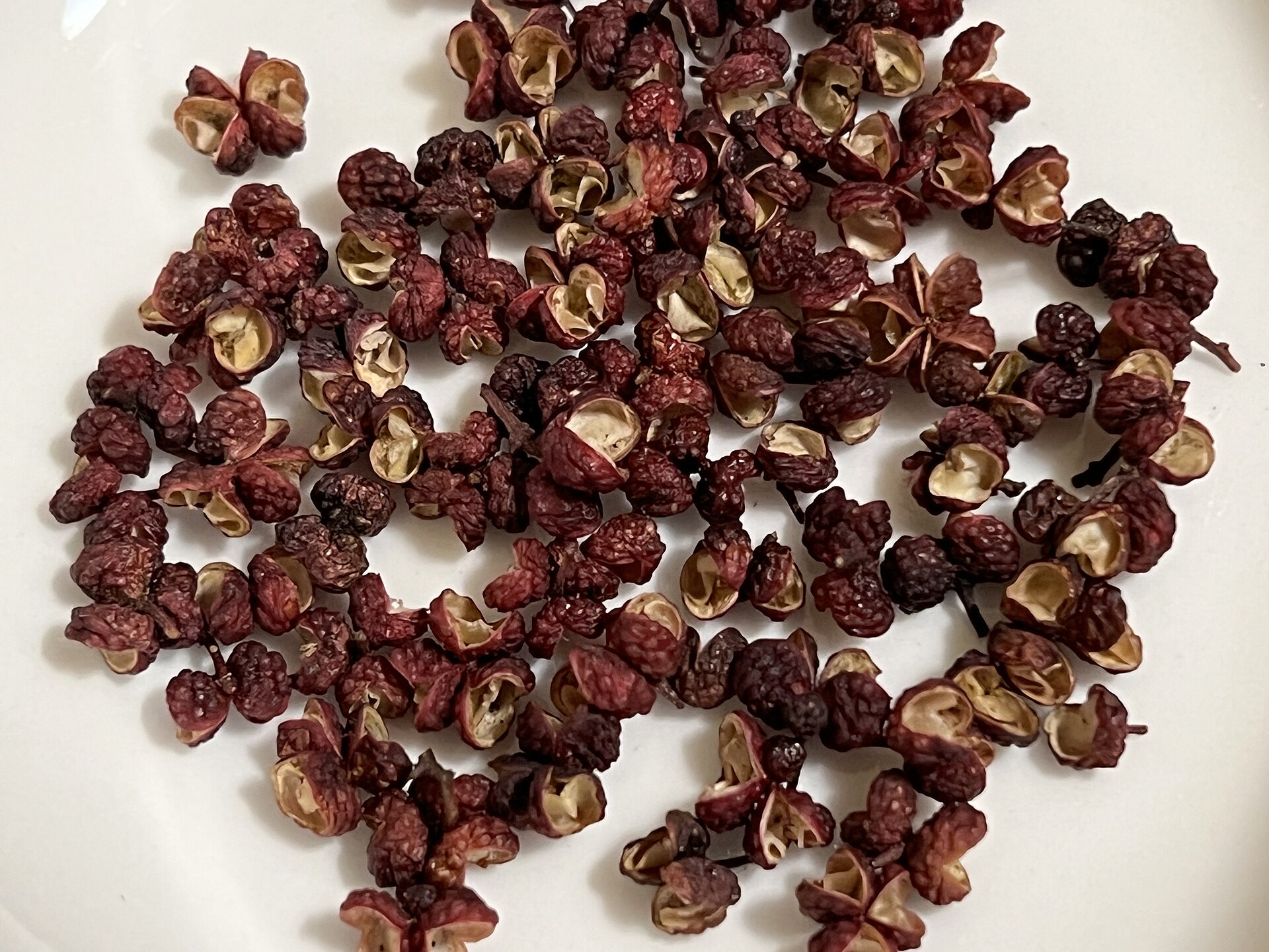 Dried red Sichuan peppercorns with split husks, the numbing spice at the heart of Chengdu cooking