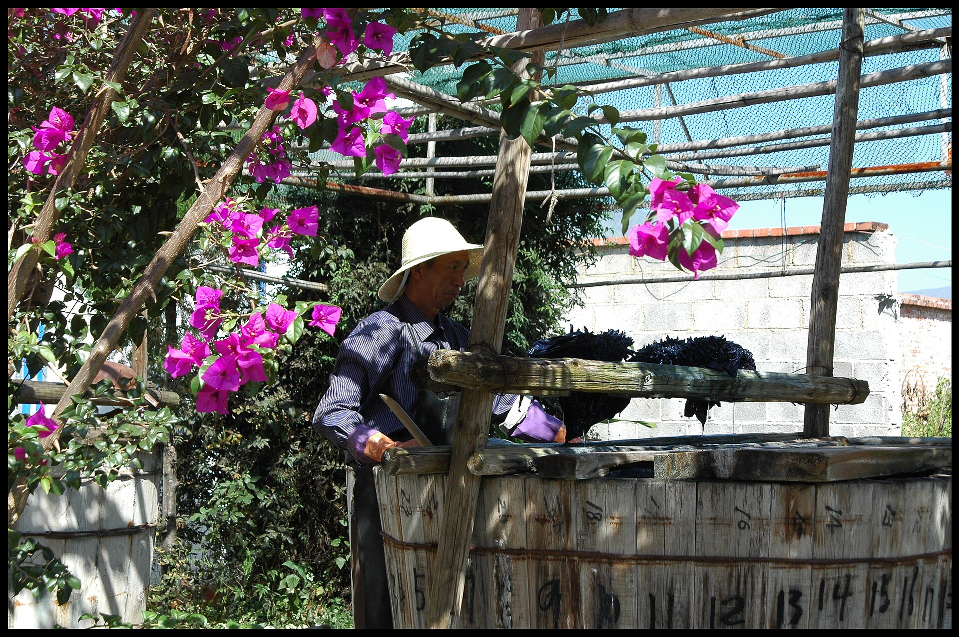 A Bai dyer at a large wooden indigo vat under bougainvillea in the Dali area