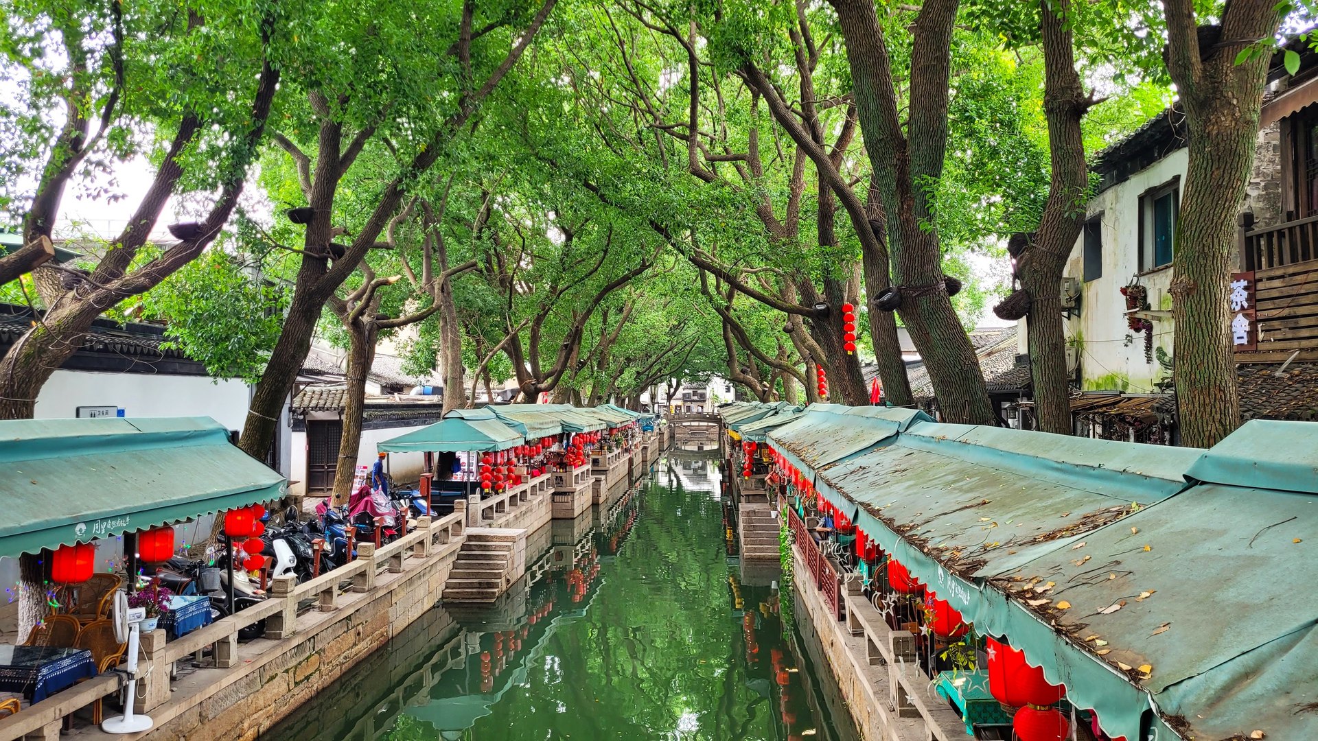 A tree-shaded canal in Tongli, café awnings and red lanterns lining both banks
