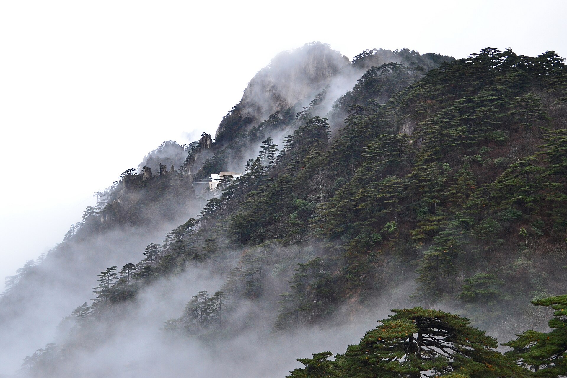Granite peaks and Huangshan pines rising out of morning mist
