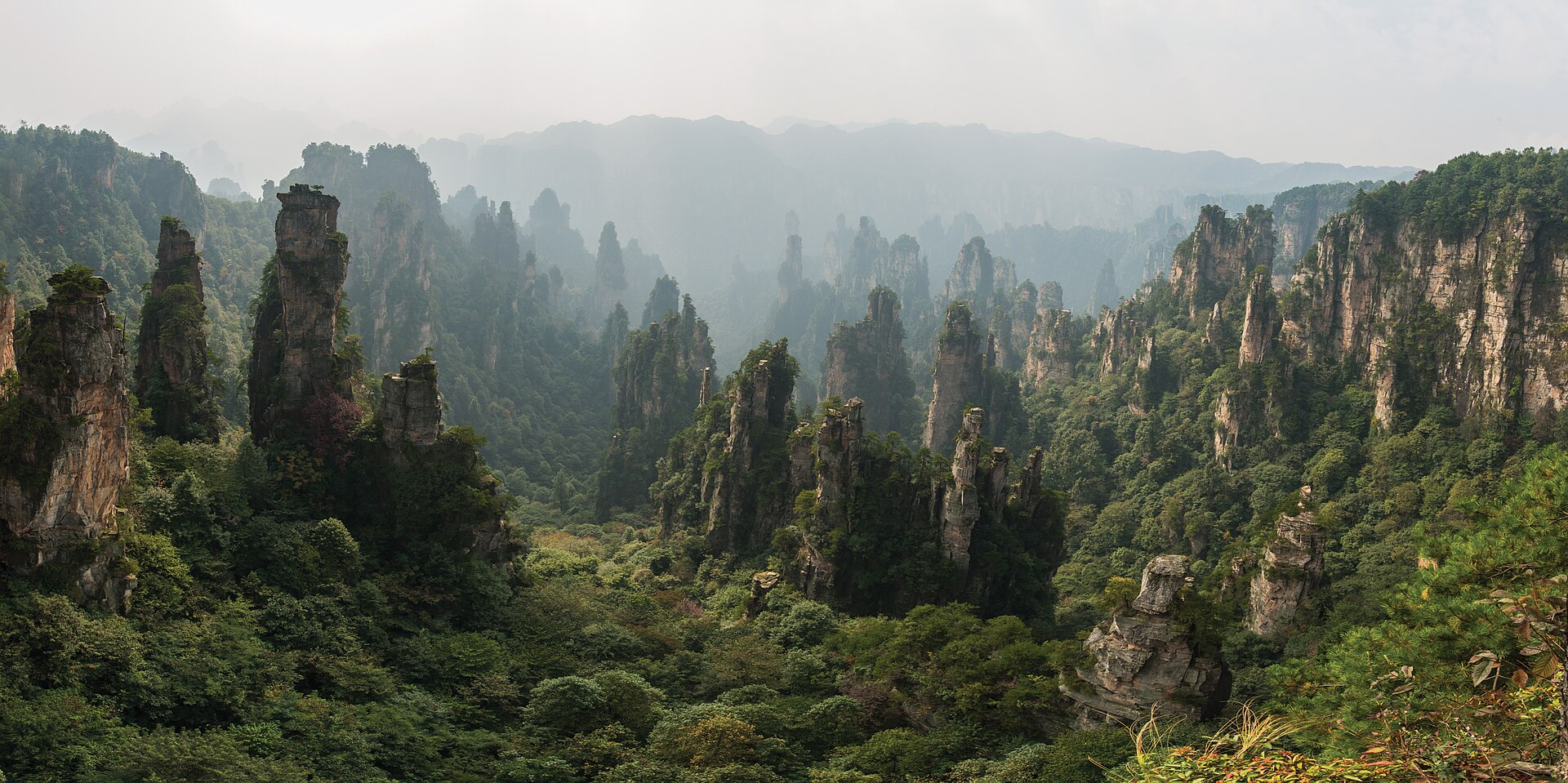 Sandstone pillar forests of Wulingyuan, Zhangjiajie, in morning mist